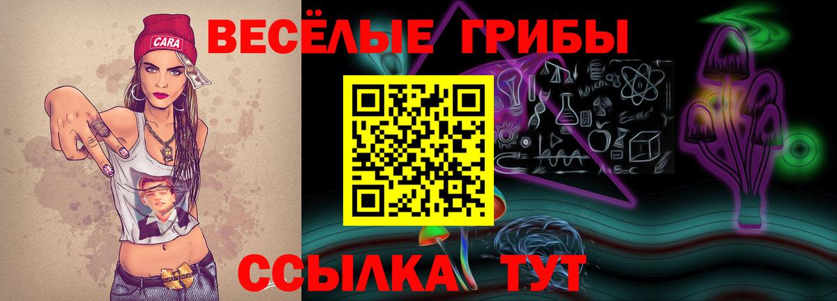 Галлюциногенные грибы мухоморы  Вход с VPN  Сланцы 