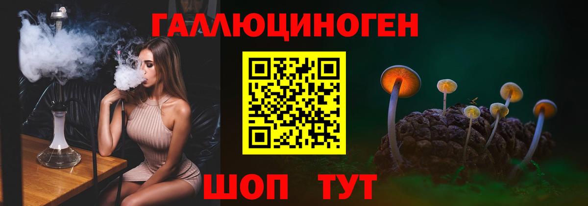 Галлюциногенные грибы Psilocybe Сланцы