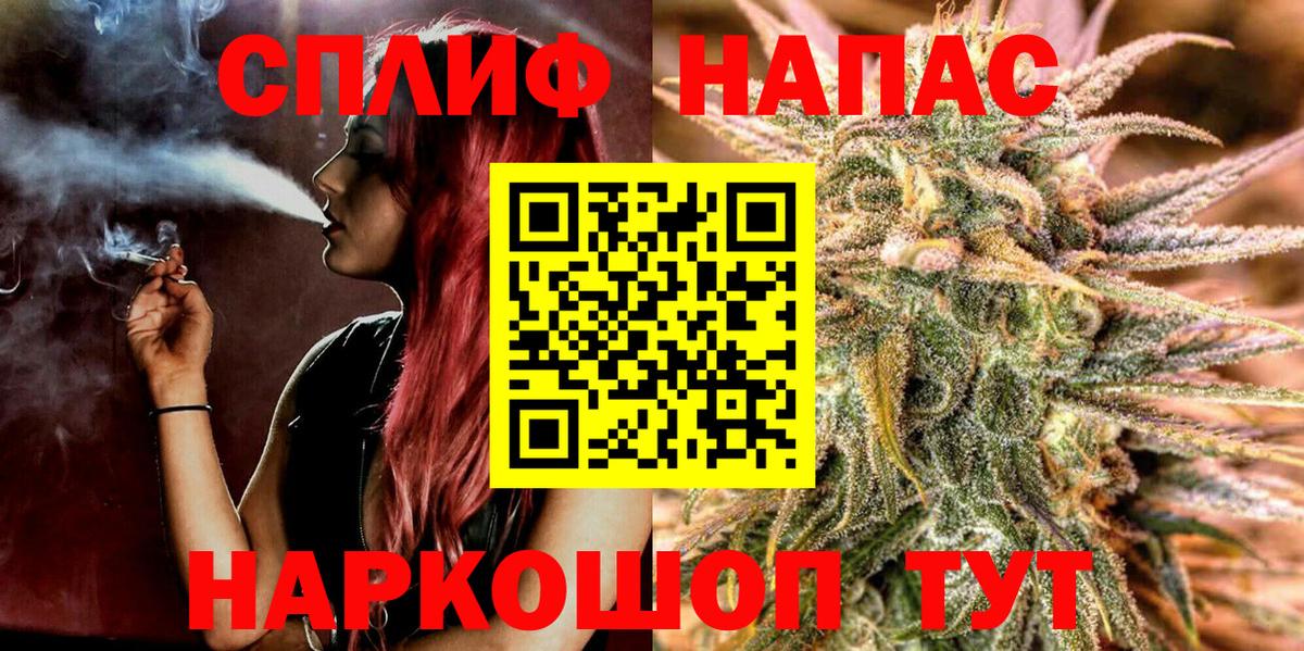 Шишки марихуана марихуана Сланцы